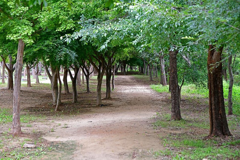 광주시민의 숲 야영장 시설 사진 6