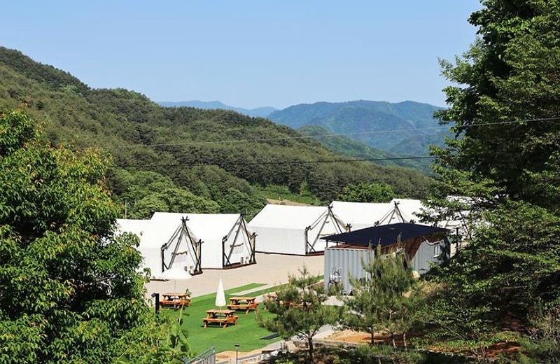 원대리751 글램핑 대표 사진