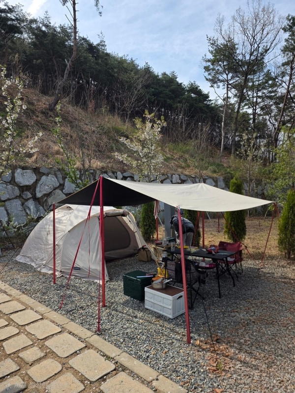 대구 근교 신상 캠핑장 후기, 의성 단밀 숲속 야영장 총정리...