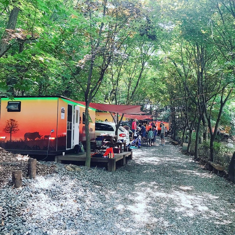 아프리카예술박물관 캠핑장 시설 사진 43