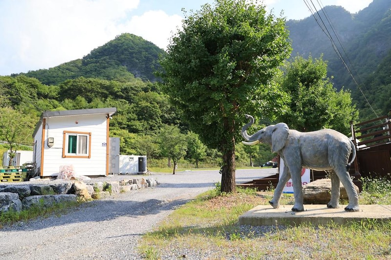 코끼리마을 시설 사진 20