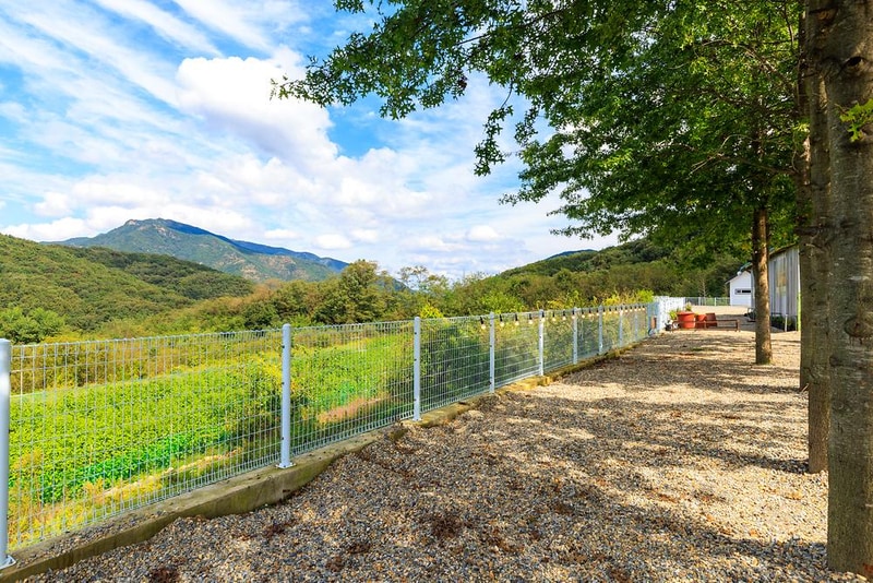 월명612 시설 사진 12