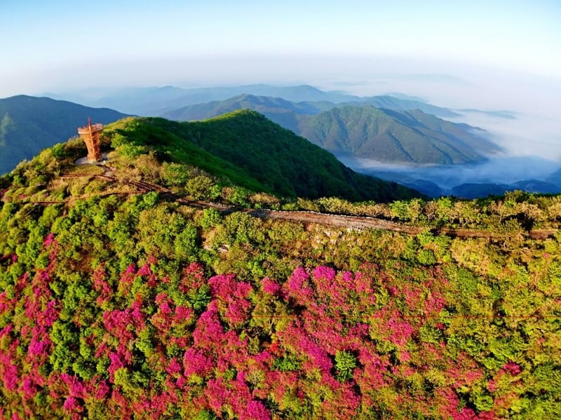 한우산