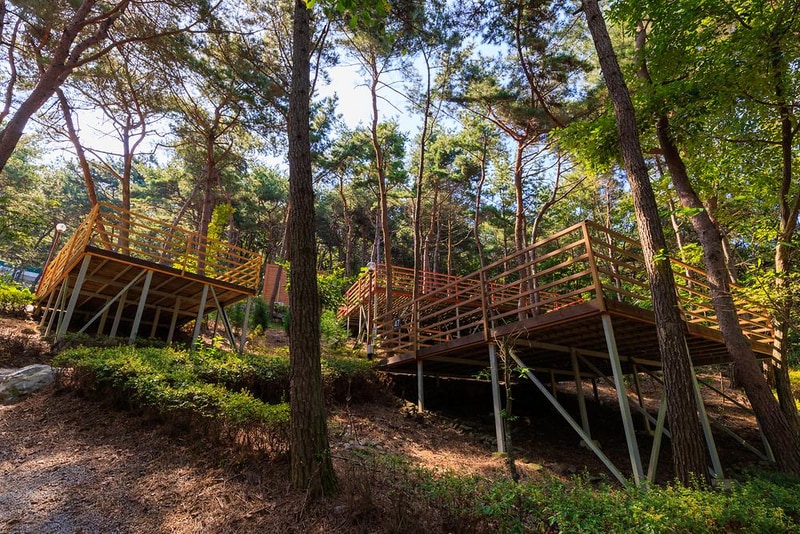 올레유 시설 사진 13