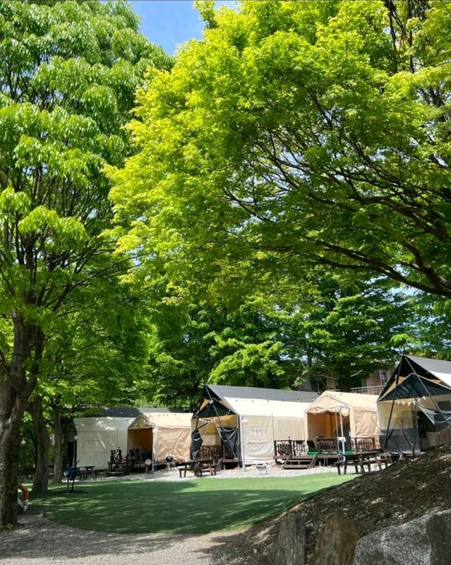 별밤 글램핑 대표 사진