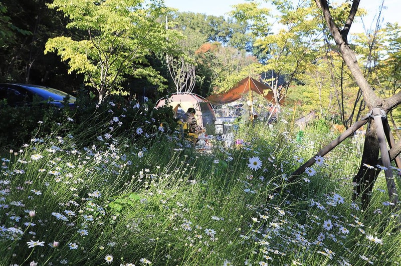 초안산캠핑장 시설 사진 8