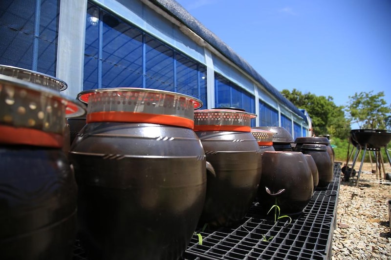 교동아일랜드 시설 사진 24