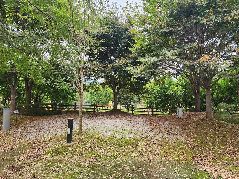 연천 전곡리유적 구석기 체험숲 시설 사진 27