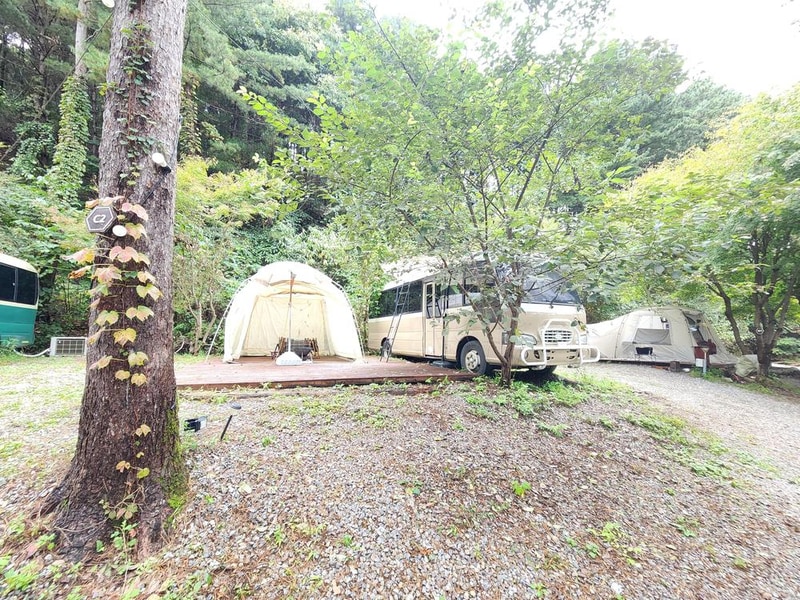 리틀 포레스트 캠핑 시설 사진 11