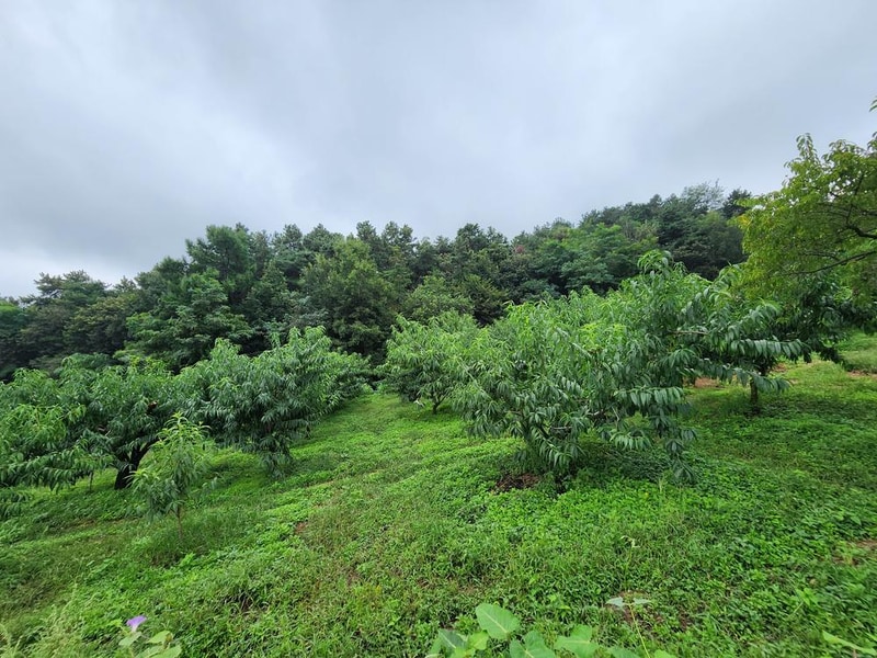 별빛마루 관광농원 시설 사진 7