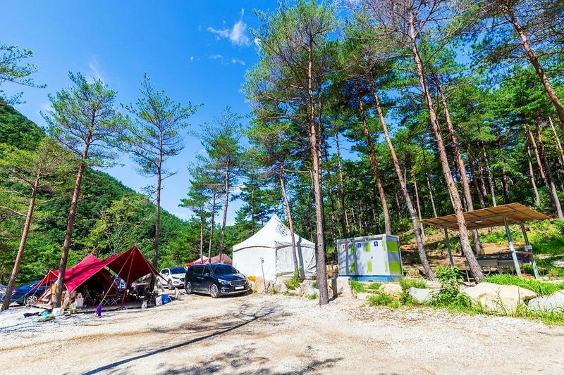 왕피천 숲속 캠핑장 시설 사진 9