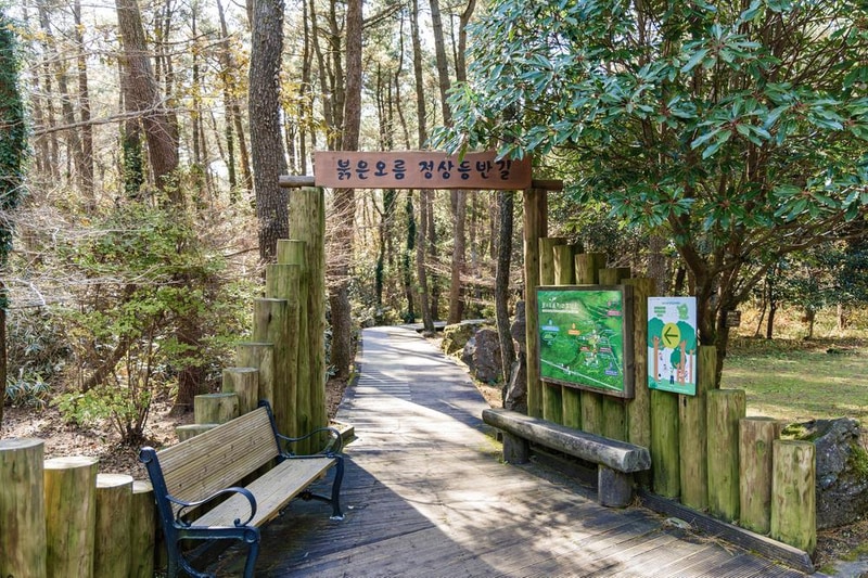 붉은오름 자연휴양림 숲속 야영장 시설 사진 25