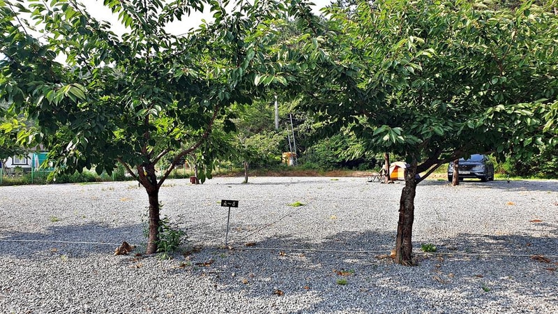 구름포해변캠핑장 시설 사진 34