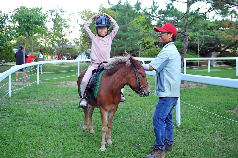 알프스농원캠핑장 시설 사진 4
