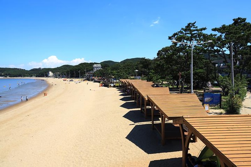 장경리해변 야영장 대표 사진