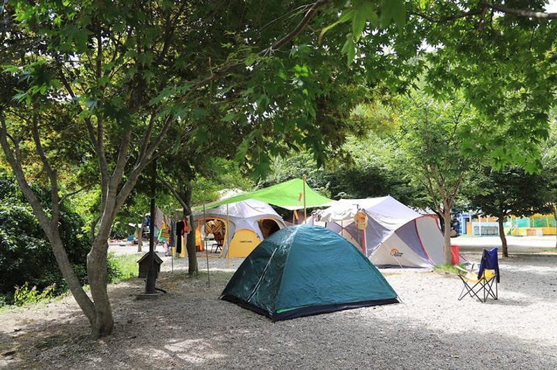 자작나무 펜션캠핑장 대표 사진