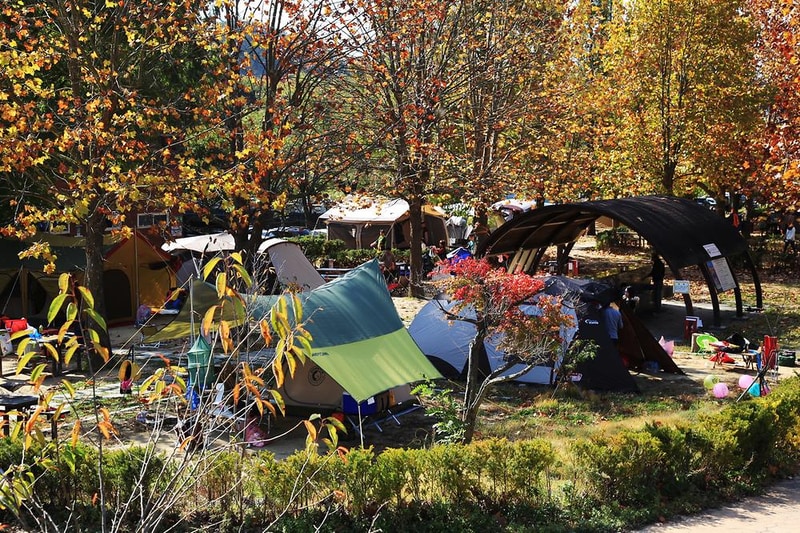 주왕산국립공원 상의자동차 야영장 시설 사진 2