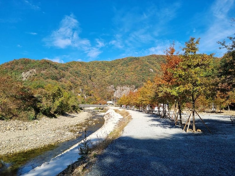 부엉캠핑클럽 시설 사진 14