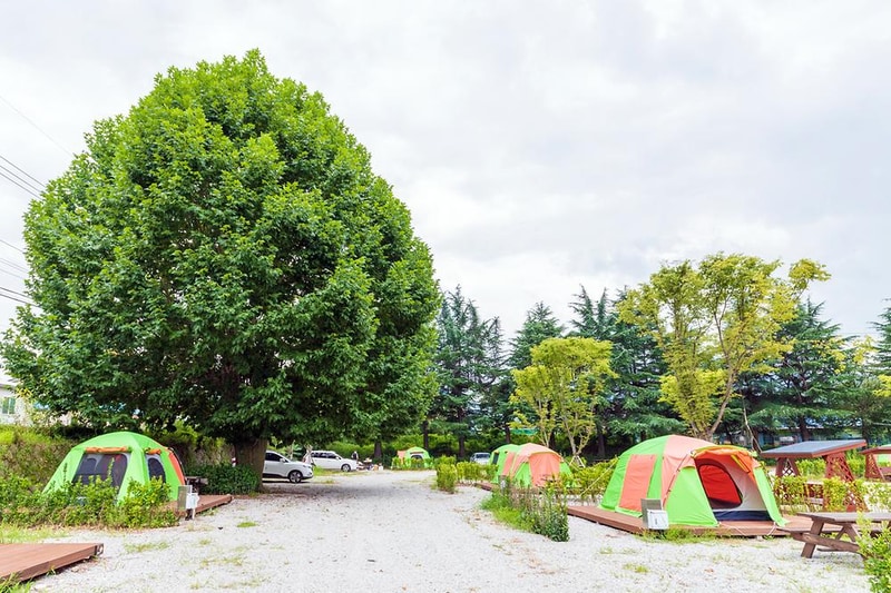 상주 감꽃마을 서울캠핑장 시설 사진 29