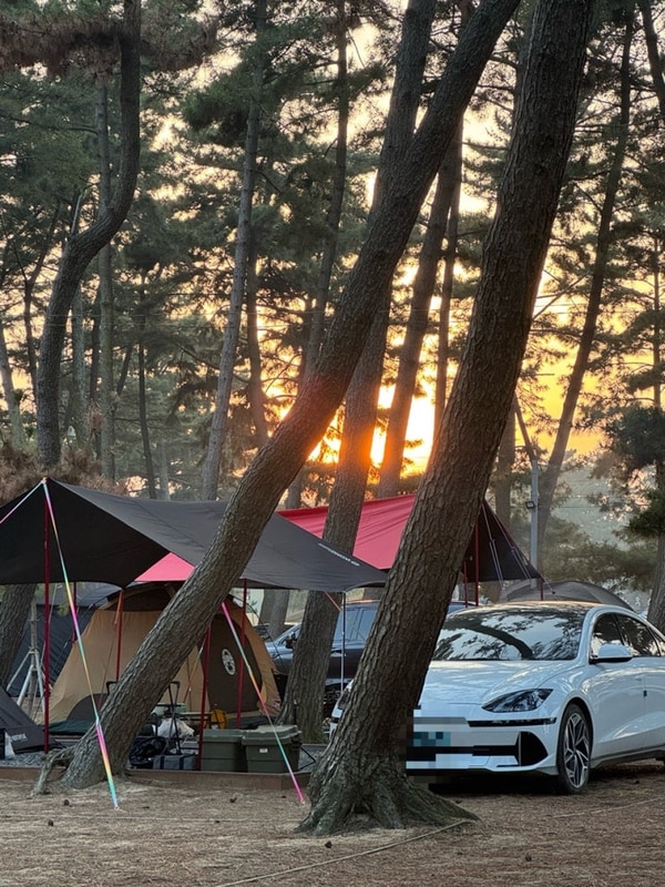 몽산포패밀리데이캠핑장 대표 사진