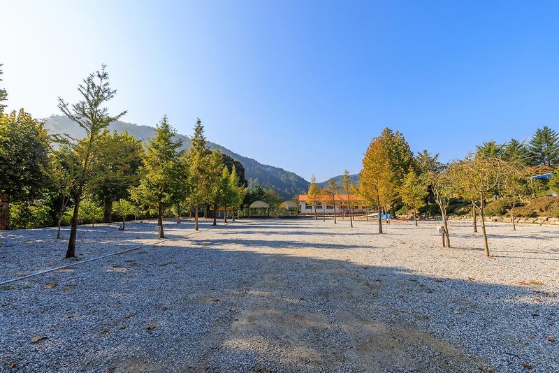 시골학교캠핑장 시설 사진 2