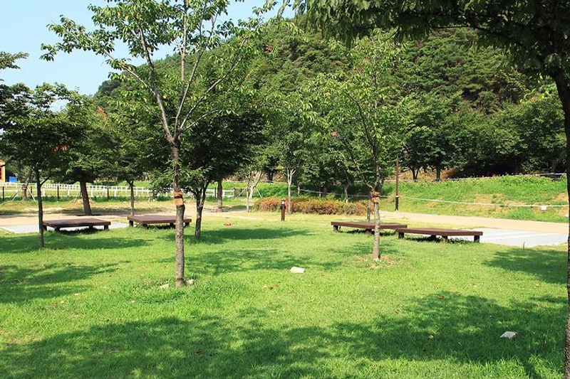 고령 대가야 카라반 대표 사진