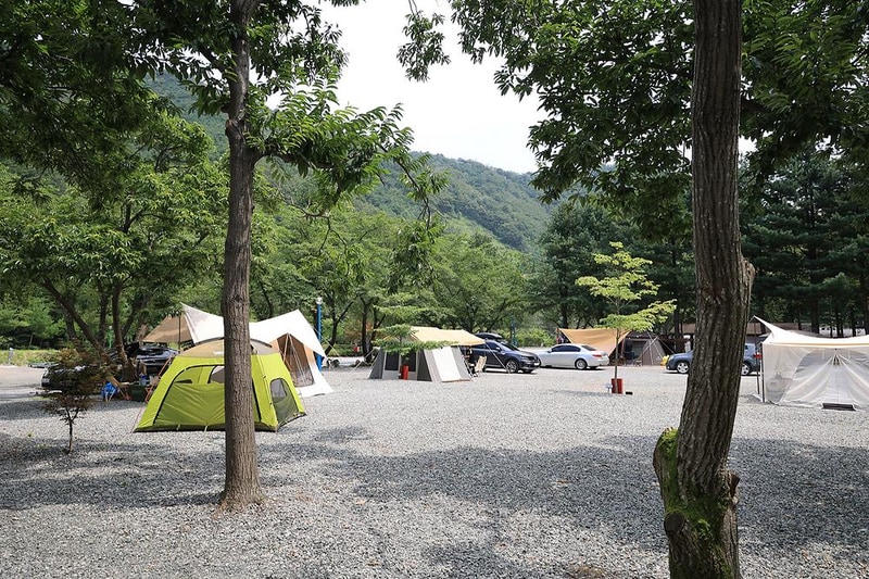 오색허브농원 캠핑장 시설 사진 5