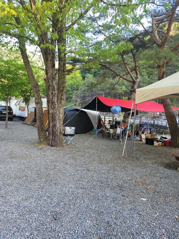 영월 엄둔밸리 계곡캠핑장 대표 사진