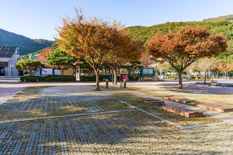 학동자동차 야영장 시설 사진 71