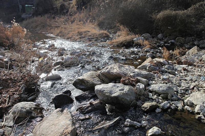 (주)수동자연마을 힐링별밤수목원캠핑장 시설 사진 11
