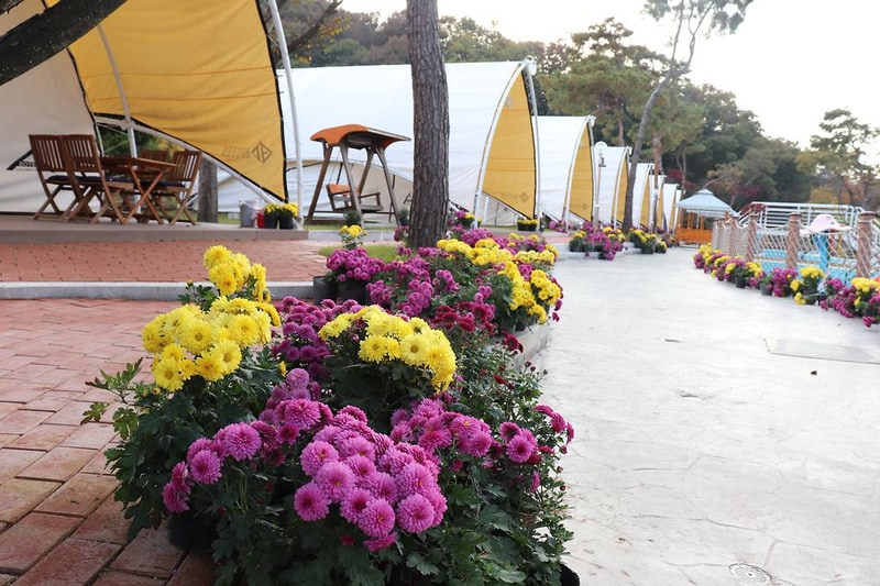 다온숲 시설 사진 18