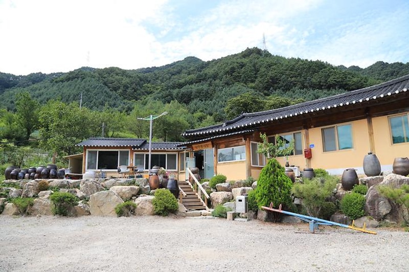 내린천 주말농장 대표 사진