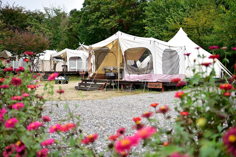 숲속의 정원 캠핑장 시설 사진 10