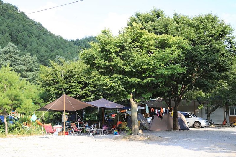 영월계곡 느티별캠핑장 대표 사진