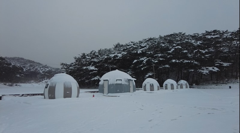 안면도관광농원 시설 사진 21