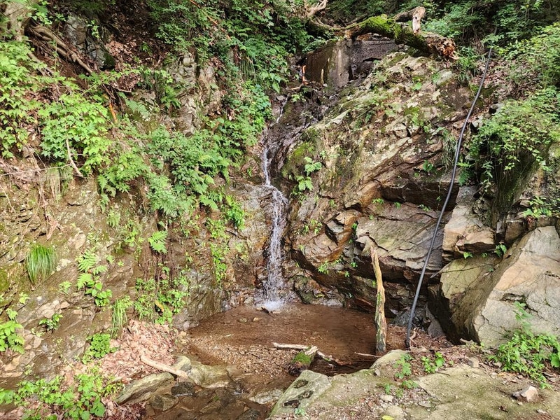 양주 장흥 브이아이피 캠핑장 시설 사진 5