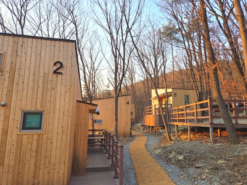 바라산자연휴양림 야영장 대표 사진