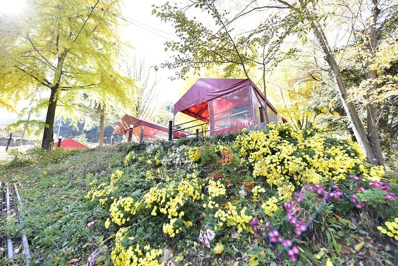 자이언트레저 시설 사진 12