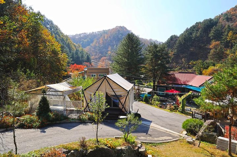 테라스527 캠핑장 대표 사진