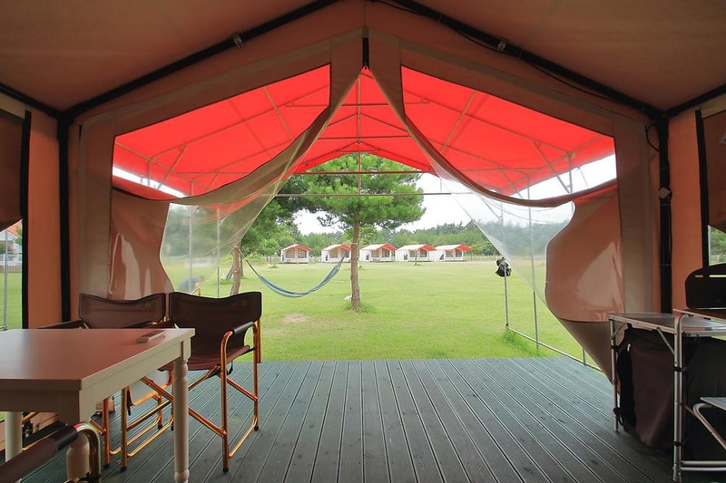 파라독스 애견펜션 / 돔글램핑&오토캠핑장 시설 사진 2