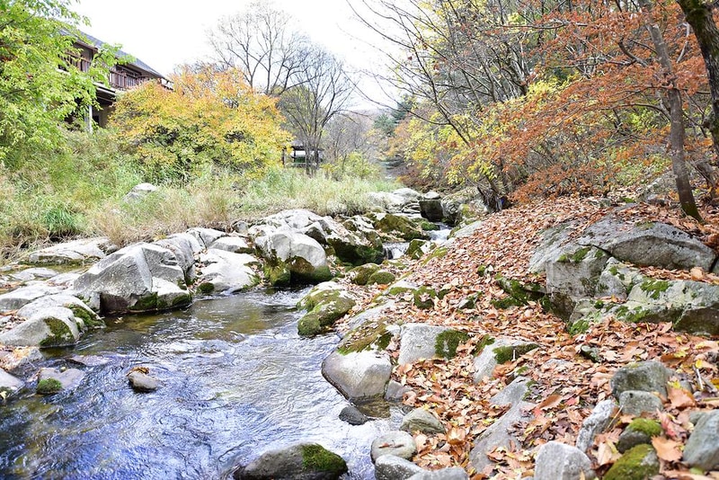 늘푸른쉼터 시설 사진 9