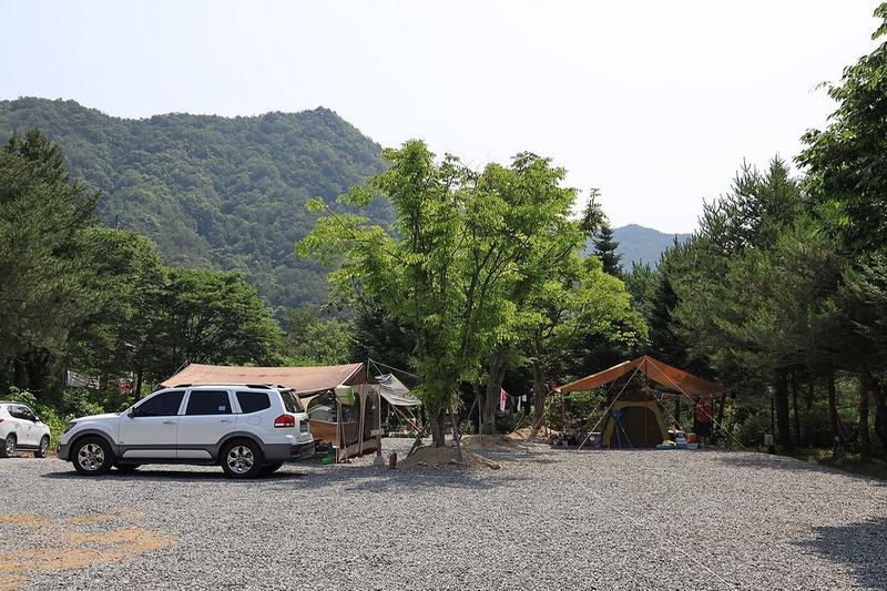 월드니스 시설 사진 13