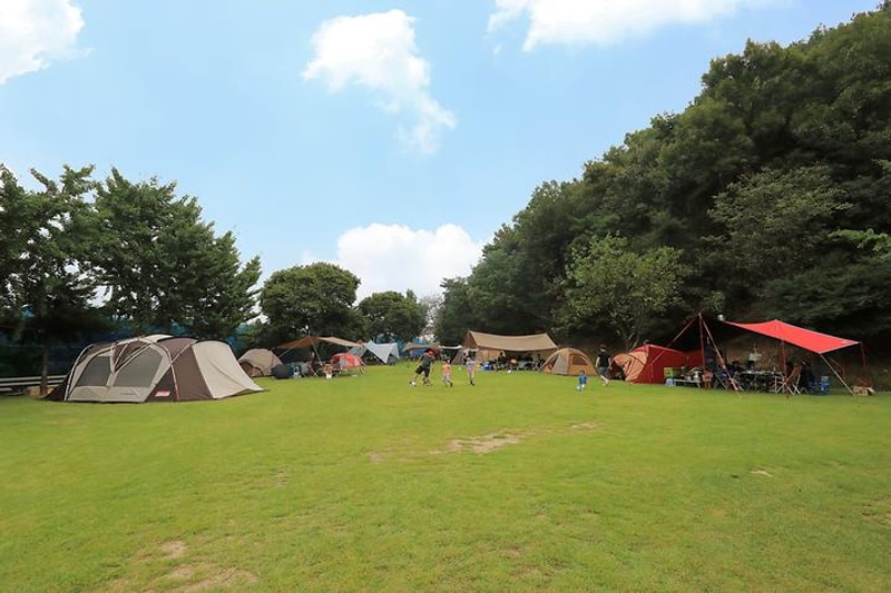 프린세스 캠핑장