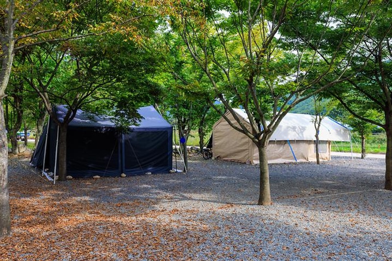 청도 사계절 캠핑장 대표 사진