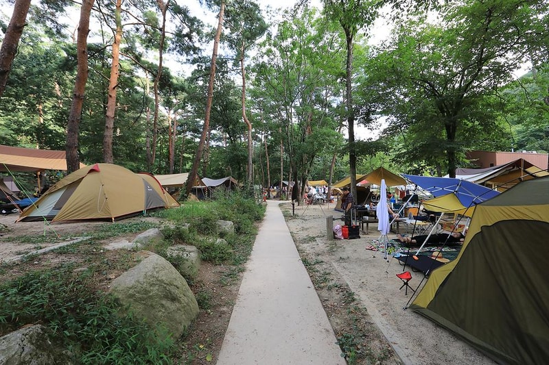 월악산국립공원 닷돈재자동차야영장 시설 사진 13