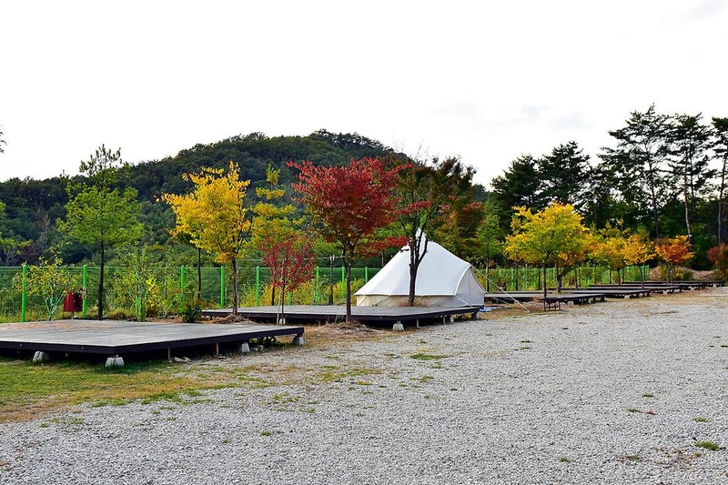 예손농원캠핑장 시설 사진 3