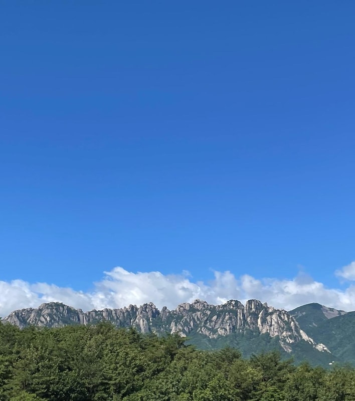 고라니 오토캠핑장 시설 사진 12