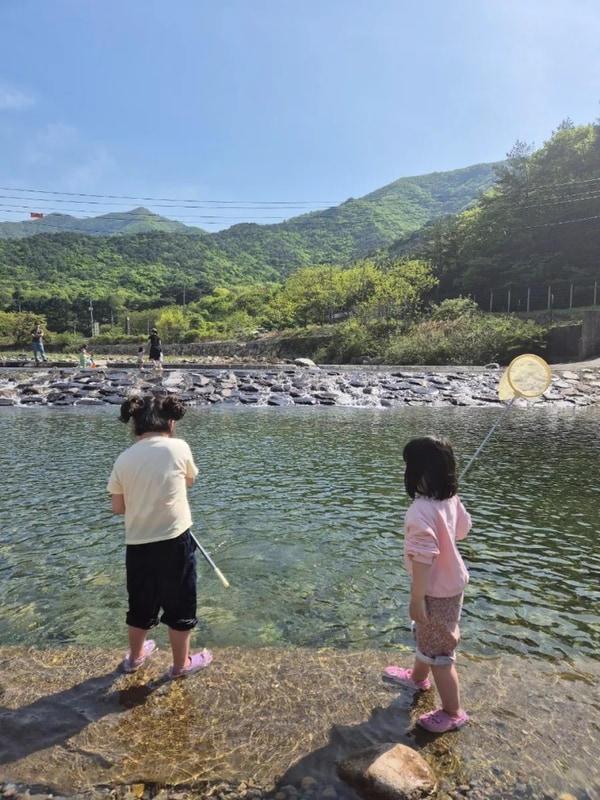 포레스테이