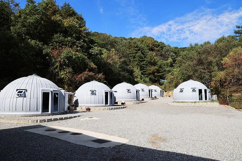 비니비니글램핑 대표 사진