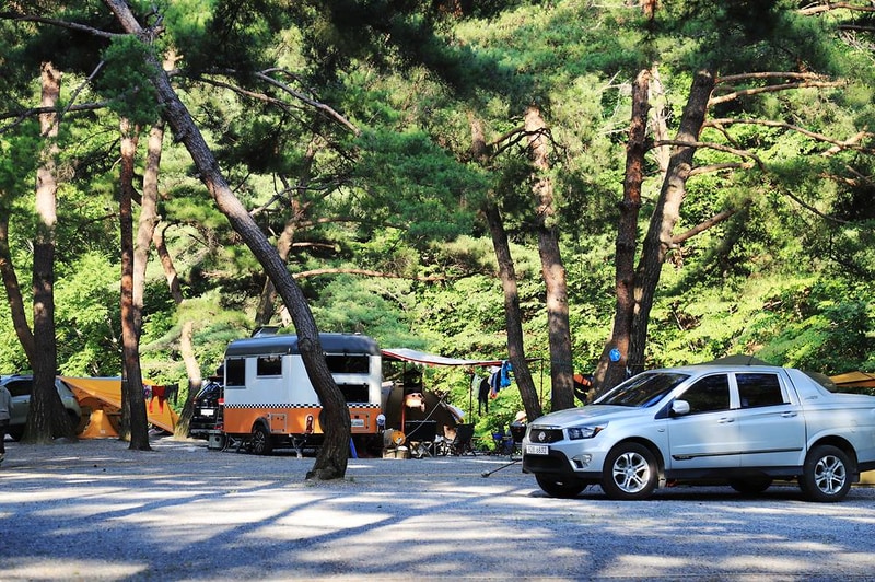 솔밭 캠프장 시설 사진 17